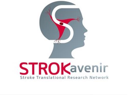 STROKavenir Stroke Translational Research Network trademark