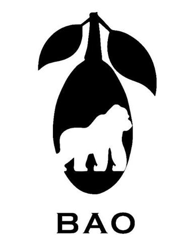 BAO trademark