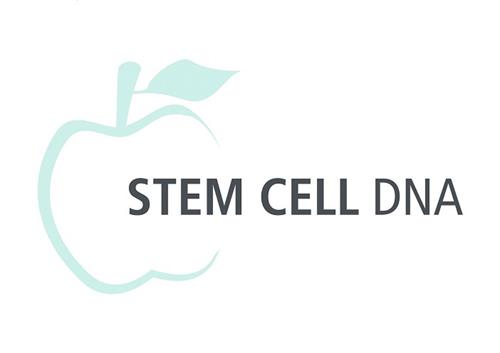 STEM CELL DNA trademark