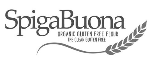 SPIGABUONA ORGANIC GLUTEN FREE FLOUR THE CLEAN GLUTEN FREE trademark