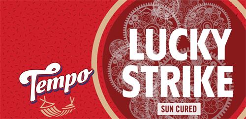 LUCKY STRIKE SUN CURED TEMPO trademark