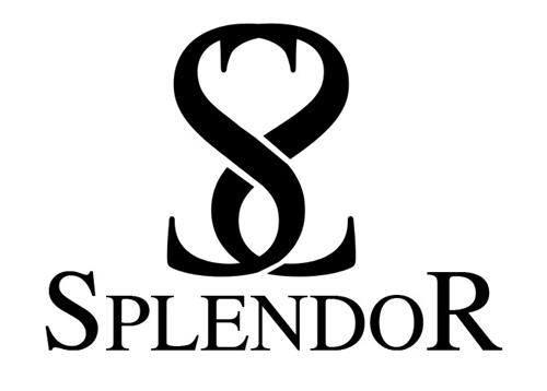 SS SPLENDOR trademark