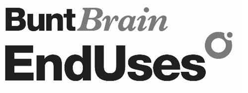 BUNTBRAIN ENDUSES trademark