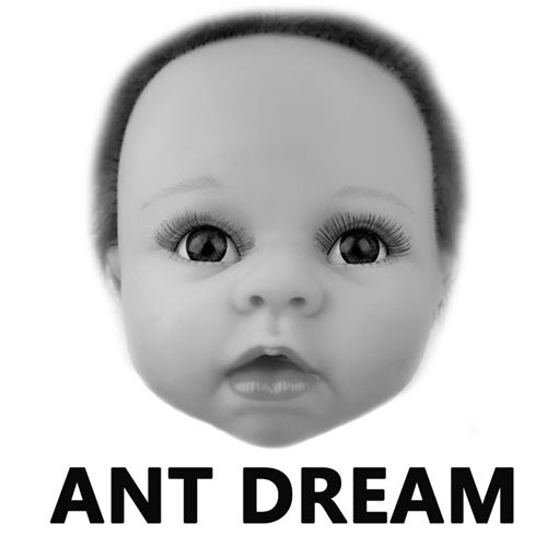 ANT DREAM trademark