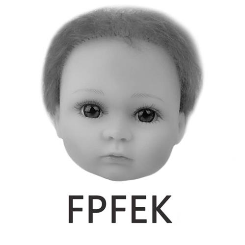 FPFEK trademark