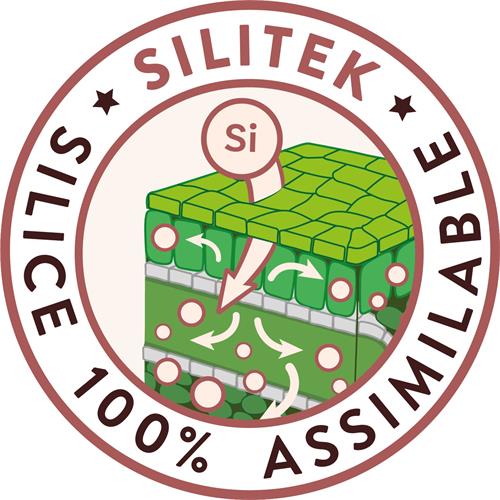 SILITEK SILICE 100% ASSIMILABLE trademark