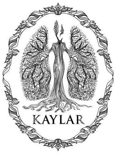 KAYLAR trademark