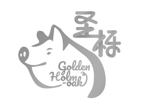 GOLDEN HOLM-OAK trademark