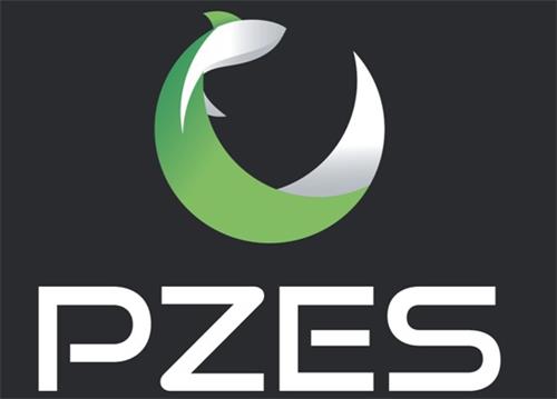 PZES trademark