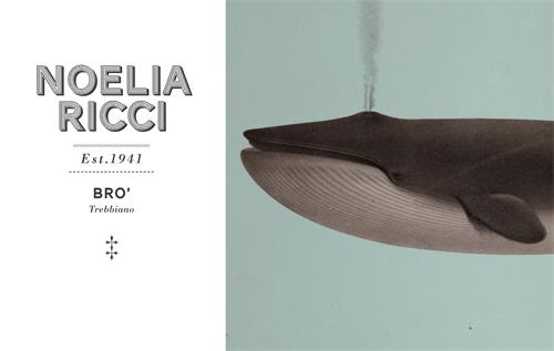 NOELIA RICCI Es. 1941 Bro' Trebbiano trademark