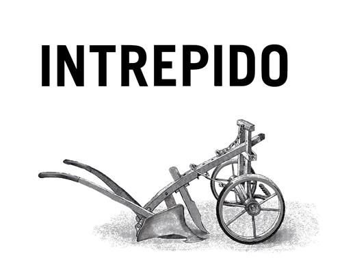 INTREPIDO trademark