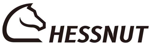 CHESSNUT trademark