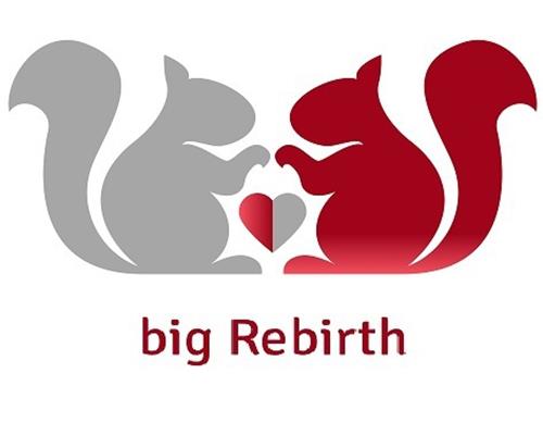 BIG REBIRTH trademark