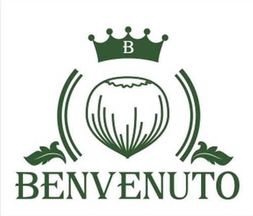 BENVENUTO trademark