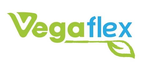 VEGAFLEX trademark