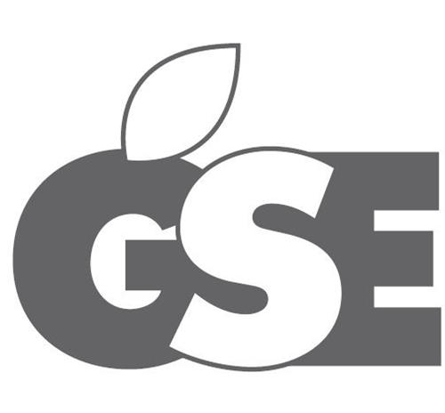 GSE trademark