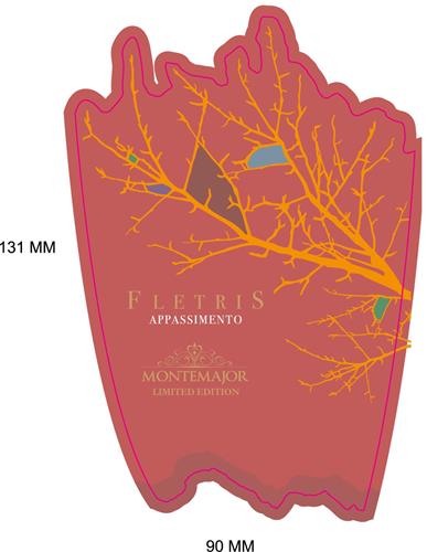 FLETRIS APPASSIMENTO - MONTEMAJOR LIMITED EDITION trademark