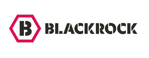 B BLACKROCK trademark