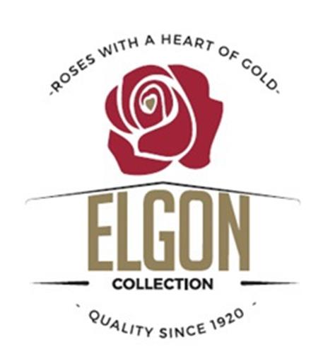 Roses with a heart of gold ELGON collection quality since 1920 trademark