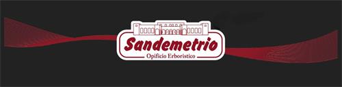 SANDEMETRIO OPIFICIO ERBORISTICO trademark