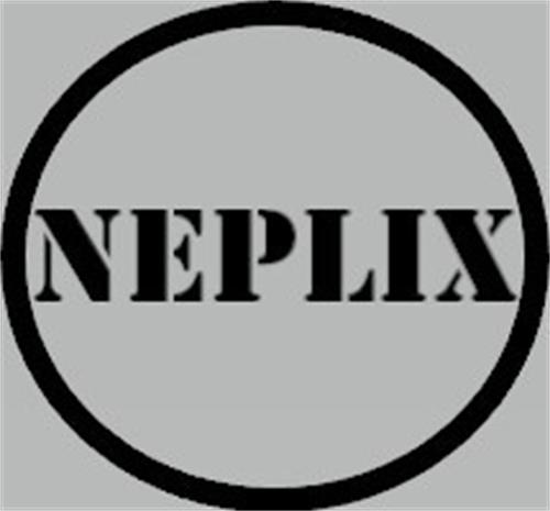 ONEPLIX trademark