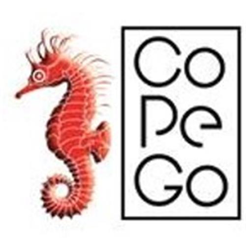 COPEGO trademark