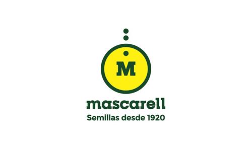 M MASCARELL SEMILLAS DESDE 1920 trademark