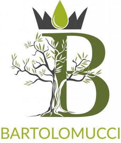 B BARTOLOMUCCI trademark