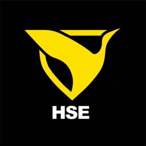 HSE trademark