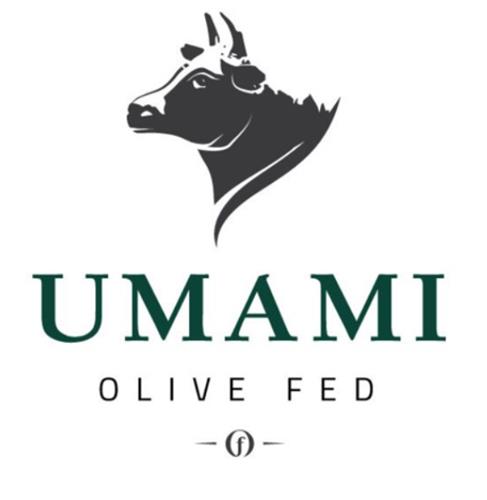 UMAMI OLIVE FED trademark