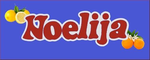 NOELIJA trademark