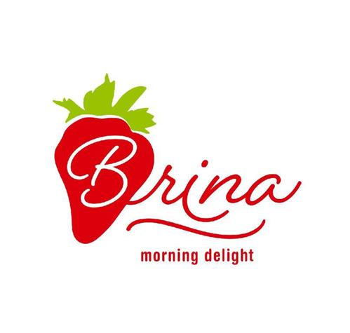 BRINA MORNING DELIGHT trademark