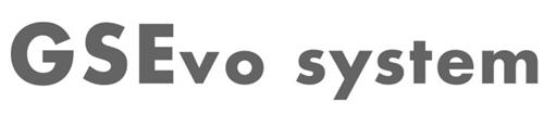 GSEvo system trademark