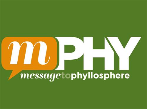 MPHY - MESSAGETOPHYLLOSPHERE trademark