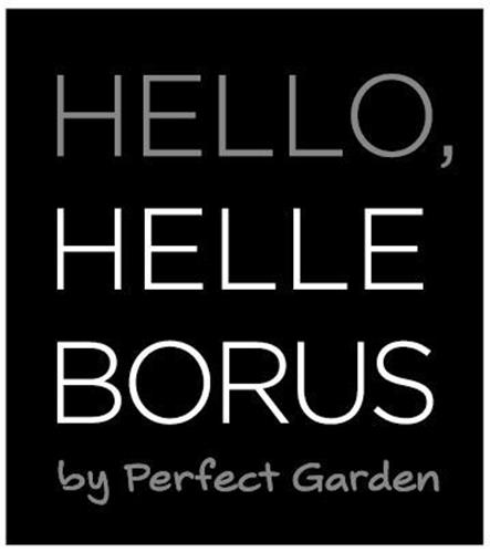 HELLO, HELLEBORUS by Perfect Garden trademark