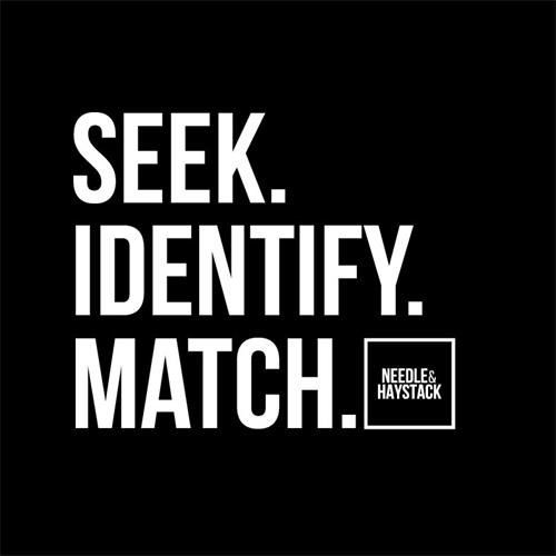 SEEK.IDENTIFY.MATCH. NEEDLE & HAYSTACK trademark