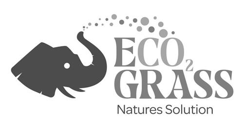 ECO2 GRASS Natures Solution trademark