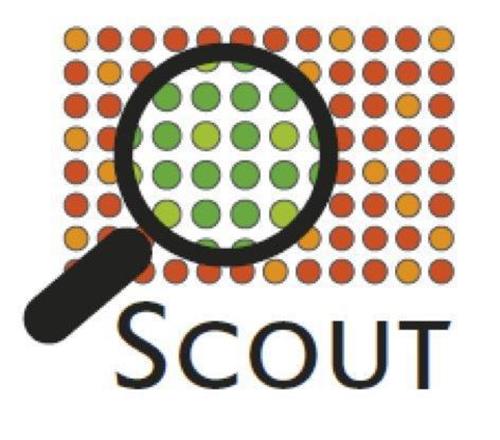 SCOUT trademark