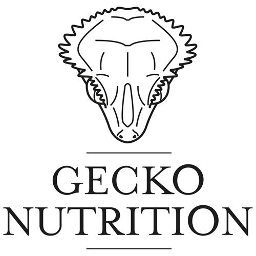 GECKO NUTRITION trademark