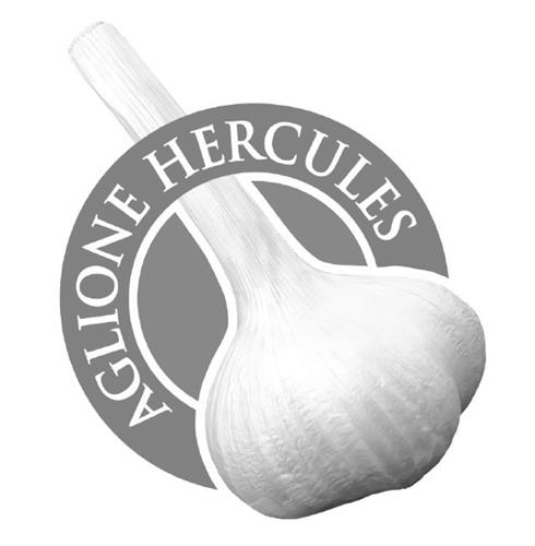 AGLIONE HERCULES trademark