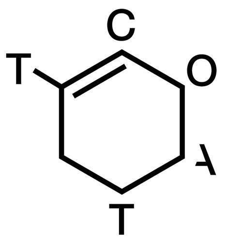 T C O A T trademark