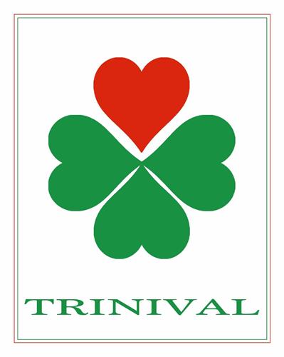 TRINIVΑL trademark