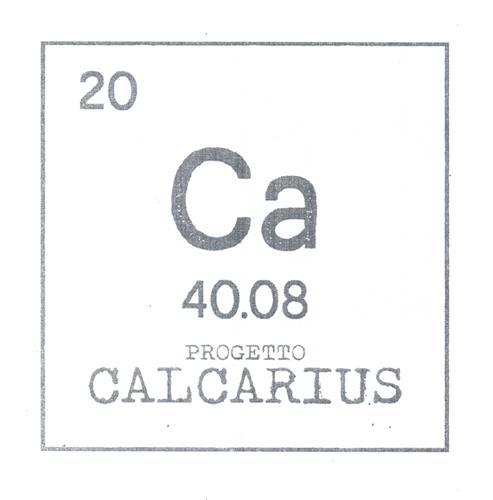 20 - CA - 40.08 - PROGETTO CALCARIUS trademark