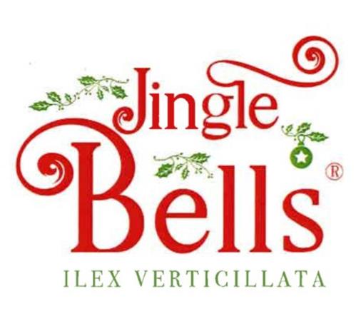 Jingle Bells ILEX VERTICILLATA trademark