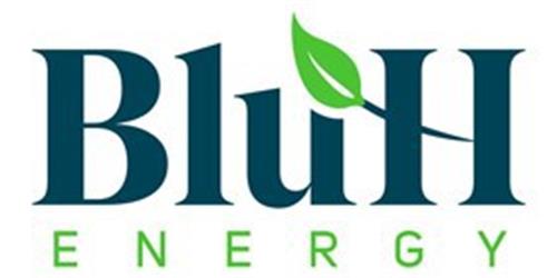 BluH ENERGY trademark