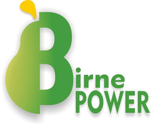 Birne POWER trademark