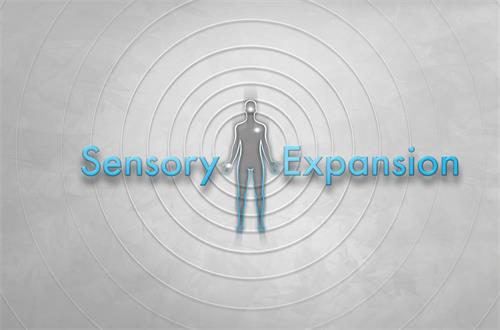 Sensory Expansion trademark