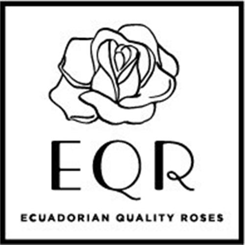 EQR ECUADORIAN QUALITY ROSES trademark