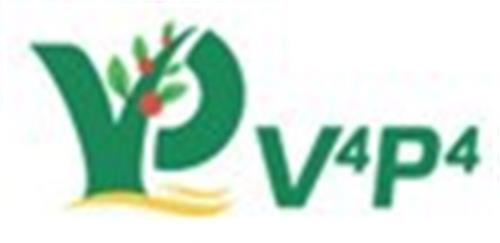 V4P4 trademark