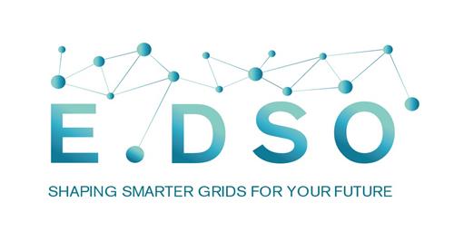 E.DSO SHAPING SMARTER GRIDS FOR YOUR FUTURE trademark